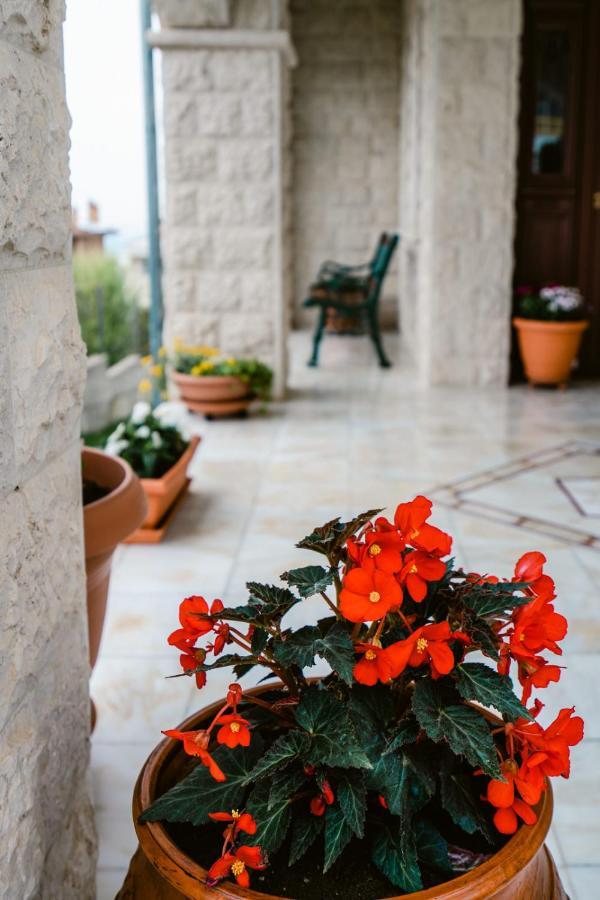 Veria Panorama Luxury Suite With Garden. Eksteriør bilde
